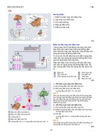 Hệ Thống Truyền Lực - P7