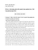 Giải pháp phát triển ngành công nghiệp sữa trong điều kiện Việt Nam là thành viên của WTO.doc