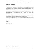 Marketing Strategy for welding and cutting products in Namviet company.doc