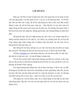 Thương mại điện tử “timnhatro.vn”.docx