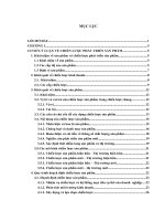 Chiến lược phát triển sản phẩm thuốc OSTEOMIN tại thị trường Việt Nam