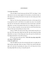 Tìm hiểu hoạt động nhập khẩu của công ty TNHH Việt Anh.doc