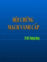 Hội chứng mạch vành cấp