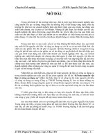 Kế toán nguyên vật liệu và công cụ dụng cụ tại Công ty TNHH Trường Quang II.doc