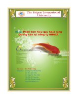 Phân tích hiệu quả hoạt động quảng cáo tại công ty Bibica