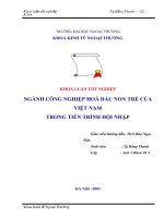 Ngành công nghiệp hoá dầu non trẻ của việt nam trong tiến trình hội nhập.doc
