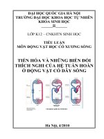 Tiến hóa và những biến đổi thích nghi của hệ tuần hoàn ở động vật có dây sống