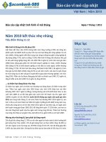 Báo cáo cập nhật tình hình vĩ mô - Năm 2010 kết thúc nhẹ nhàng