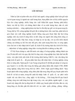 Giải pháp tăng cường đầu tư nước ngoài trong lĩnh vực Nông nghiệp.docx