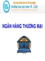 Ngân hàng thương mại 