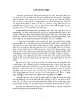 Chiến lược hướng về xuất khẩu của Việt Nam từ nay đến năm 2005.doc