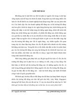 Mô hình quỹ tín thác đầu tư bất động sản và bài học từ các nước phát triển.doc