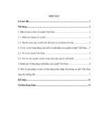 Khả năng thâm nhập của ngành cà phê Việt Nam vào thị trường Mỹ.pdf