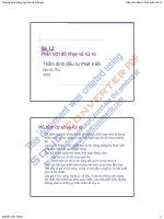 Phân tích độ nhạy và rủi ro