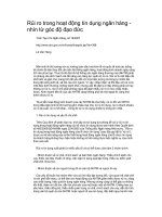 Rủi ro trong hoạt động tín dụng ngân hàng