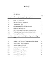 Công cụ phòng ngừa cho thị trường chứng khoán Việt Nam.pdf