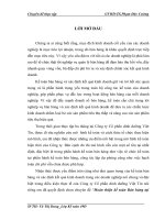 Hoàn thiện kế toán Bán hàng tại Công ty Cổ phần dinh dưỡng Việt Tín.doc