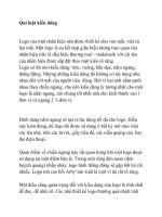 Qui luật kiểu dáng