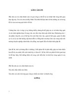 Xây dựng chiến lược xúc tiến cho sản phẩm sữa lên men Betagen của công ty TNHH Campina Việt Nam..pdf