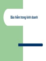 Slide bài giảng Bảo hiểm trong kinh doanh - Chương 1