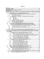 Thực trạng và triển vọng xuất khẩu phần mềm tại Việt Nam.doc