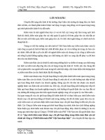 Quy trình kiểm toán khoản mục chi phí hoạt động trong kiểm toán Báo cáo tài chính do Công ty TNHH kiểm toán PKF Việt Nam thực hiện.DOC