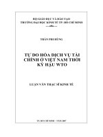 Tự do hóa dịch vụ tài chính ở Việt Nam thời kỳ hậu WTO.pdf