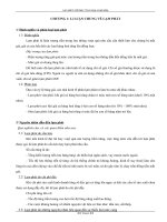 Lạm phát ở Việt Nam. Thực trạng và giải pháp.DOC