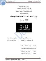 Phân tích quản trị chiến lược công ty D&G.doc