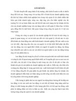 báo cáo thực tập môn kế toán doanh nghiệp chuyên đề NVL_CCDC 1.doc