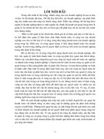 Hoàn thiện công tác hạch toán kế toán các nghiệp vụ thanh toán với khách hàng và nhà cung cấp với việc nâng cao hiệu quả công tác kế toán trong quản lý công nợ tại Công ty Cổ phần thuốc thú y TWI.doc