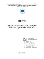 PHÂN TÍCH CÔNG TY VẬN DỤNG CHIẾN LƯỢC KHÁC BIỆT HOÁ.doc