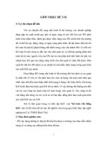 Kế toán vốn bằng tiền tại công ty TNHH Bách Việt.doc