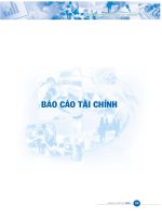 BÁO CÁO TÀI CHÍNH 