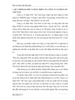 Hoạt động của Công ty cổ phần SNC Việt Nam.docx