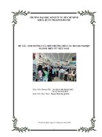 ảnh hưởng của môi trường đến các doanh nghiệp ngành điện tử việt nam