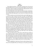 Phân tích các mô hình sử dụng đất chủ yếu làm cơ sở định hướng cho quy hoạch sử dụng đất tại xã Chu Điện, huyện Lục Nam, tỉnh Bắc Giang