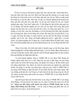 Nâng cao khả năng cạnh tranh của công ty TNHH thương mại và xây dựng Thái Phương trên thị trường.DOC