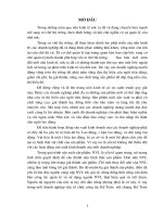 Kế toán nguyên vật liệu tại Công ty TNHH Bao bì Thăng Long.DOC