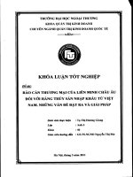 Rào cản thương mại của liên minh châu Âu đối với hàng thủy sản nhập khẩu từ Việt Nam. Những vấn đề đặt ra và giải pháp.pdf