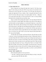 Phân tích hiệu quả hoạt động kinh doanh tại công ty Thương Mại.doc