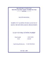 Nghiên cứu tạo dòng tế bào lai sản xuất kháng thể đơn dòng kháng progesteron