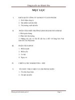 Chiến lược thâm nhập thị trường Myanmar của công ty Yến Sào Khánh Hòa