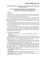 thu nhận enzym cellulose từ nấm Trichoderma