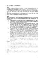 bai tap bao cao kiem toan