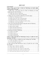 Tổng quan lý luận về chiến lược Marketing của doanh nghiệp trong nền kinh tế thị trường