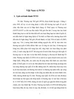 quá trình ra nhập WTO của Việt Nam.DOC