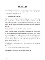 Gạo - Tình hình xuất khẩu gạo từ năm 2005 – 2010 - Dự đoán cho tương lai.docx