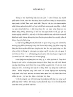 Báo cáo thực tập tổng hợp tại Công ty CP tập đoàn Y Dược Bảo Long.DOC