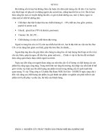 Phát triển sản phẩm bia không độ.doc